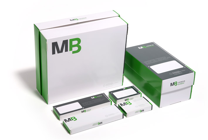 minervabox 2seite kl